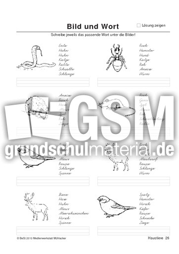 BuW Haustiere26.pdf
